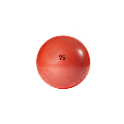 Adidas Gym Ball