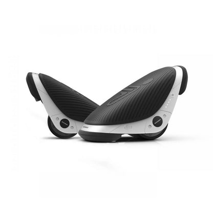 Segway W1