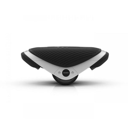 Segway W1