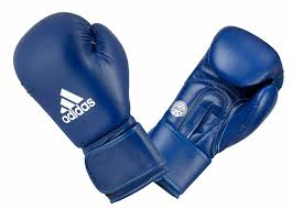 Adidas WAKO Kickboxing Training Glove 10 oz