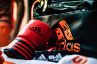 Adidas Power 200 Duo Boxing Gloves - Shiny